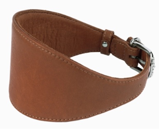 Picture of Soft Leather Greyhound Collar Brown Stylish & Comfort